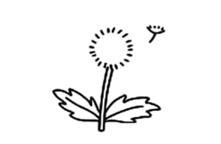 ag·真人(官网)平台植物简笔画大全_超100篇植物简笔画画法教程简单轻松学！(图17)