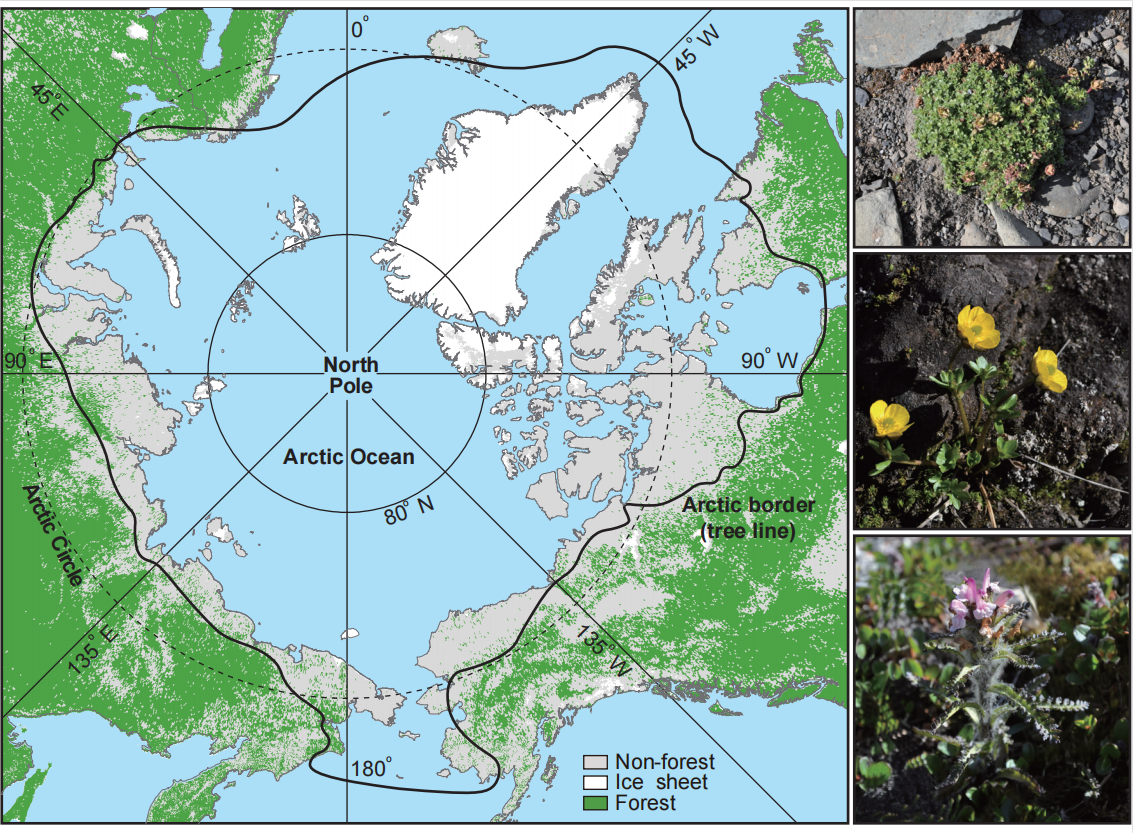 ag·真人官网平台我科学家揭示北极苔原植被的进化历史(图1)