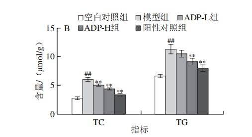 ag·真人《食品科学》：延边大学医学院林长青副教授等：白芷多糖对2型糖尿病大鼠的(图13)